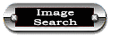 image Search